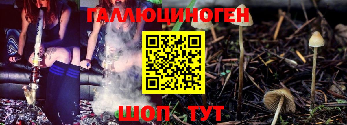 Белогорск  Галлюциногенные грибы GOLDEN TEACHER  как найти закладки  Псилоцибиновые грибы Cubensis  Вход с VPN 